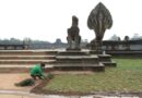 អាជ្ញាធរជាតិអប្សរារៀបចំដាំស្មៅនៅបរិវេណមុខប្រាសាទអង្គរវត្តមានភាពបៃតងជាប្រចាំ-APSARA National Authority continues to plant grass in front of Angkor -12 February 2022