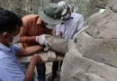 អាជ្ញាធរជាតិអប្សរាភ្ជាប់ភ្លុកដំរីចំនួនមួយទៅក្បាលដំរីកណ្តាលរបស់ដំរីក្បាលបីនៅជ្រុងអគ្នេយ៍នៃខ្លោងទ្វារតាកាវ APSARA National Authority to connect a piece of ivory stone to the head of a three-headed elephant sculpture at the southeast corner of the Takav Gate-22 March 2023