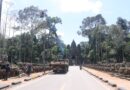 ស្វែងយល់ពីការកាត់ក្រីដើមឈើនៅរមណីយដ្ឋានអង្គរ -Understanding about tree pruning at the Angkor site- 30 August 2023