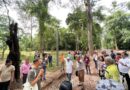 អាជ្ញាធរជាតិអប្សរា សហការជាមួយអង្គការ WSM/INSPIR Asia បន្តដាំស្មៅ និងកូនឈើនៅបរិវេណមុខប្រាសាទអង្គរវត្ត- APSARA National Authority in collaboration with WSM / INSPIR Asia to plant grass and trees in front of the Angkor Wat complex- 26 September 2023