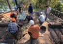 ដំបូលខ្លោងទ្វារខាងកើតរបស់ប្រាសាទអង្គរវត្ត ត្រូវការជួសជុលសង្គ្រោះបន្ទាន់ ដើម្បីឱ្យមានភាពរឹងមាំឡើងវិញ-The roof of Angkor Wat’s Eastern Gate to need urgent restoration – 30 January 2024