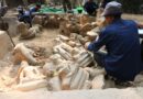 អាជ្ញាធរជាតិអប្សរា ប្រទះឃើញបំណែករូបព្រះពុទ្ធបដិមាធ្វើពីថ្មភក់ ចំនួនជាង១០០បំណែក នៅប្រាសាទតាព្រហ្ម-APSARA National Authority found more than 100 pieces of sandstone Buddha statues at Ta Prohm Temple- 30 April 2024