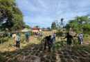 អាជ្ញាធរជាតិអប្សរា សហការជាមួយអង្គការ IDE និងអង្គការ FAO បន្តដាំកូនឈើក្នុងបរិវេណរមណីយដ្ឋានអង្គរ-APSARA National Authority cooperates with IDE and FAO organizations to continue planting trees in Angkor- 01 July 2024